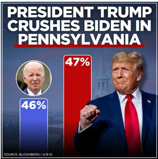 Wahlergebnis der Präsidentschaftswahl in Amerika (Trump 47%; Biden 46 %) fragwürdige Darstellung